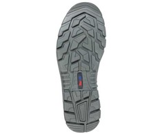 Albatros bateliai