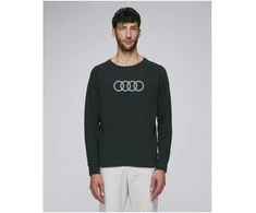 Audi džemperis
