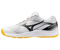 Mizuno bateliai