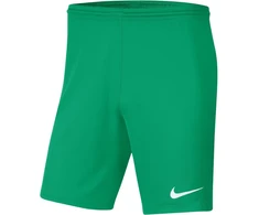 Nike Team šortai