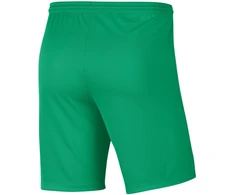 Nike Team šortai