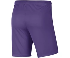 Nike Team šortai
