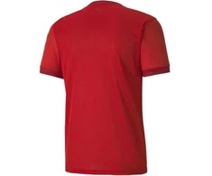 Puma marškinėliai
