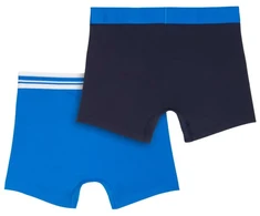 Puma šortai