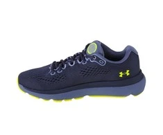 Under Armour bateliai