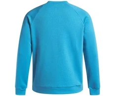 Under Armour džemperis