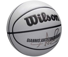 Wilson kamuolys