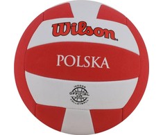 Wilson kamuolys