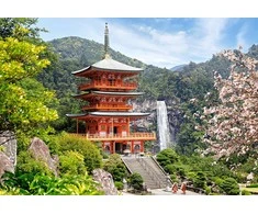 Castorland Dėlionė 1000 vnt. - Seiganto-ji šventykla, Japonija