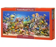 Castorland Dėlionė 4000 vnt. - Povandeninis pasaulis