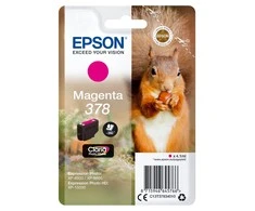 Epson Squirrel C13T37834010 rašalo kasetė Originalus Rausvai raudona 1 vnt
