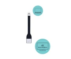 I-tec C31FLATDP60HZ vaizdo kabelio adapteris 0,11 m C tipo USB DisplayPort Juoda