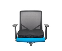 Leitz Kensington K55807WW sėdėjimo pagalvėlė Sėdynės pagalvėlė Juoda
