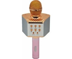 KARAOKE MIKROFONAS ANDOWL AN-Q-C107
