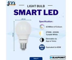 Blaupunkt išmanioji lemputė LED Smart Multicolor E27 A60 900lm 9W 2500-8000K WiFi + Bluetooth Tuya