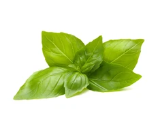 Click And Grow Click &amp; Grow sėklos išmaniajam vazonui - Citrininis bazilikas (SGR100X3) 3vnt.