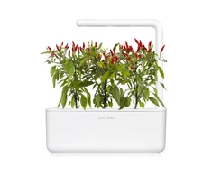 Click &amp; Grow sėklos išmaniajam vazonui - Piri Piri čili pipirai (SGR67X3) 3vnt.