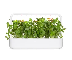 Click And Grow Click &amp; Grow sėklos išmaniajam vazonui - Citrininis bazilikas (SGR100X3) 3vnt.