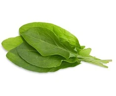 Click &amp; Grow Smart Garden pildymas Žalias Sorrel 3vnt