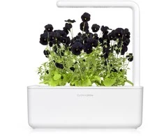 Click And Grow Click &amp; Grow sėklos išmaniajam vazonui - Juodosios našlaitės, 3vnt.