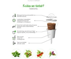 Click And Grow Click &amp; Grow Smart Garden papildymas levandomis 3vnt