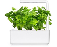 Click And Grow Click &amp; Grow sėklos išmaniajam vazonui - Lapiniai salierai (SGR97X3) 3vnt.