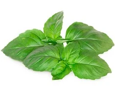 Click And Grow Click &amp; Grow sėklos išmaniajam vazonui - Kvapusis bazilikas (SGR99X3) 3vnt.