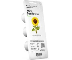Click &amp; Grow Smart Garden Refill Mini sunflower 3pcs