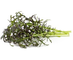 Click And Grow Click &amp; Grow sėklos išmaniajam vazonui - Japoninės garstyčios (Raudona Frill Mustard), 3 vnt.