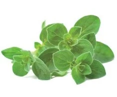 Click &amp; Grow Smart Garden papildymas raudonėliu 3vnt