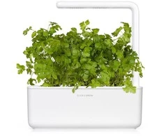 Click and Grow Smart Garden 3 vnt. papildymas - petražolių sėklos