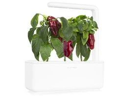 Click and Grow Smart Garden 3 vnt. papildymas - paprikų sėklos