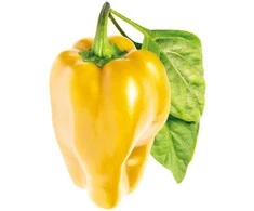 Click and Grow SMART HOME 3 vnt. papildymas - paprikos sėklos, geltonos