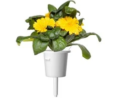 Click &amp; Grow Smart Garden Refill Marigold 3pcs