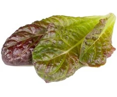 Click And Grow Click &amp; Grow sėklos išmaniajam vazonui - Raudonosios romaninės salotos, 3vnt.