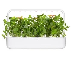 Click And Grow Click &amp; Grow sėklos išmaniajam vazonui - Bazilikai citrininiai, 3vnt.