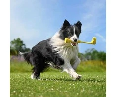 „Insta360“ | „GO 3 Fetch Stick“ | CINSBBKP