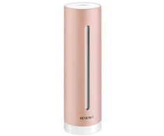 Netatmo sveikų namų treneris