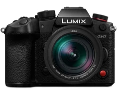 Panasonic Lumix GH7 + 12-60mm F/2.8-4.0 Leica DG Vario Elmarit ASPH POWER OIS
