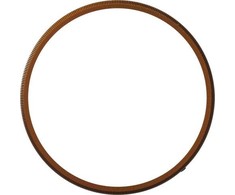 Ricoh GN-2 Ring Cap, bronzos