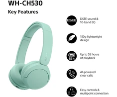 SONY WH-CH530G Ausinės
