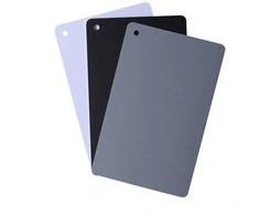StudioKing Digital Pilkas Card SKGC-31S
