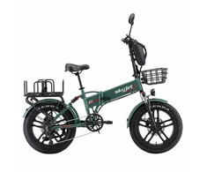 Elektrinis dviratis Skyjet GTIII PRO PLUS Žalias (GTIIIPGN) (Atnaujinta)