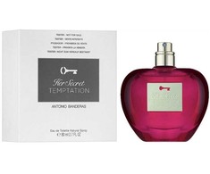 Antonio Banderas Her Secret Temptation