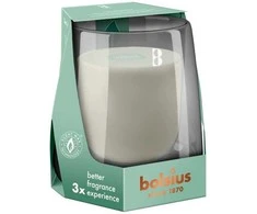 Bolsius CleanLight Scented Candle 95x85mm Cedarwood&amp;Vetiver