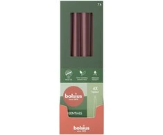 Bolsius Table candles 245/24mm Dark Raudona 4pcs