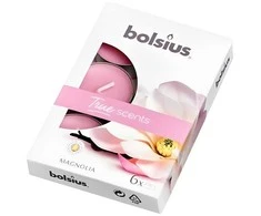 Bolsius BOLSIUS True Scents 4H kvapiosios žvakutės, 60 vnt. MAGNOLIA