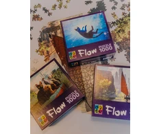 Levenya Brain Games FLOW dėlionė su 1000 detalių