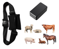 Extra Digital GPS Tracker for Livestock