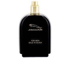 Kvepalai vyrams Jaguar For Men EDT, 100 ml